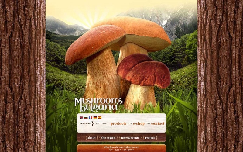 Website design : Mushroom Bulgaria