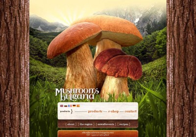 website creation - Mushroom Bulgaria - 